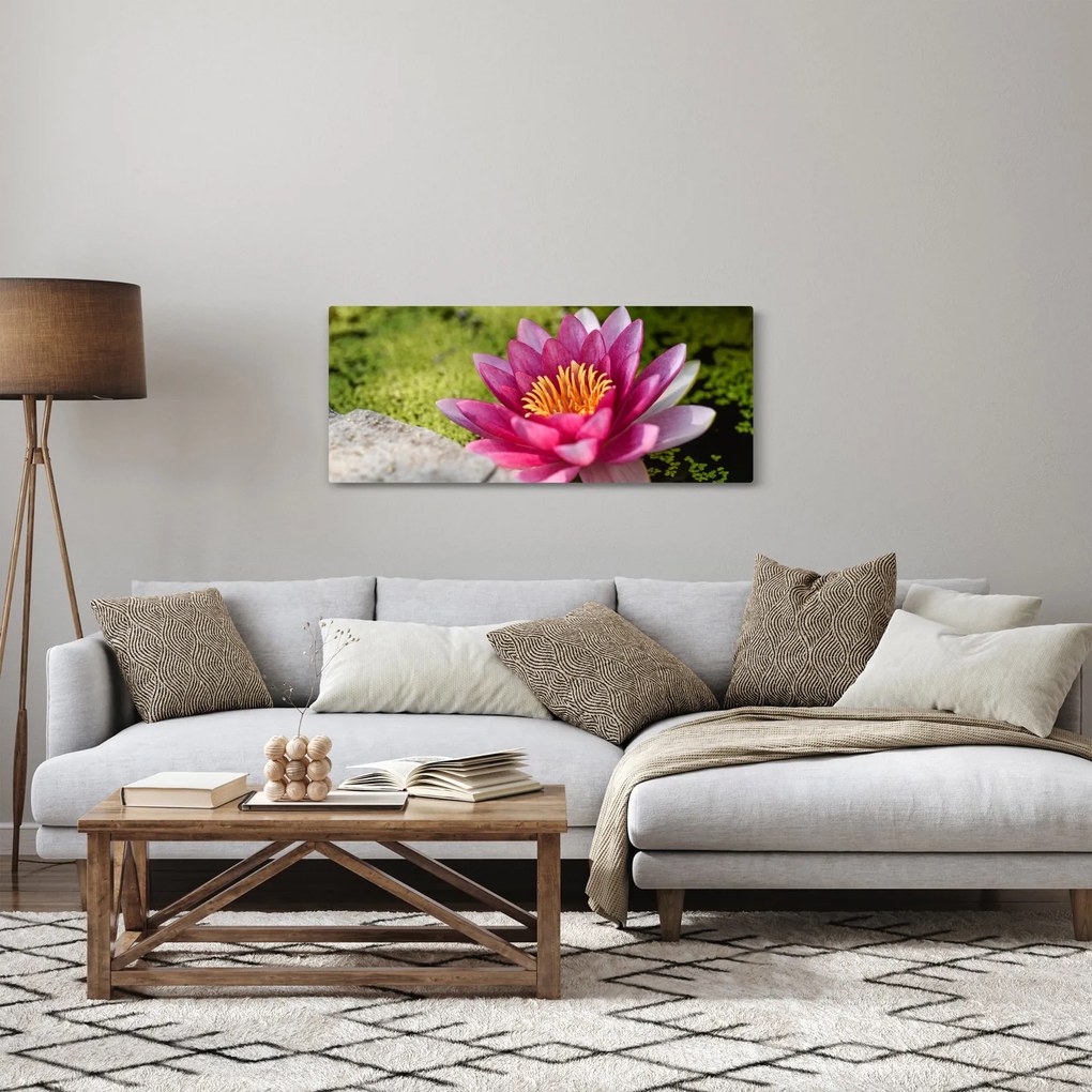 Kép - Tavirózsa (120x50 cm)