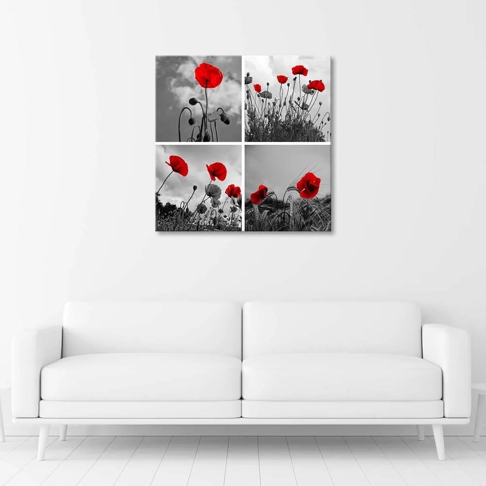 Gario Vászonkép Vörös pipacsok Méret: 40 x 40 cm