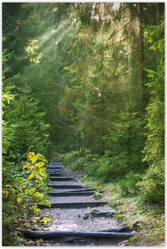 Poszterek 80x120 Tájkép