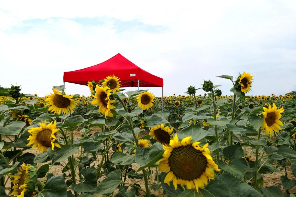 Professzionális reklám sátor 3x4,5m | Masszív ALU profil 1,8mm - plusz 3 oldalfal - Piros