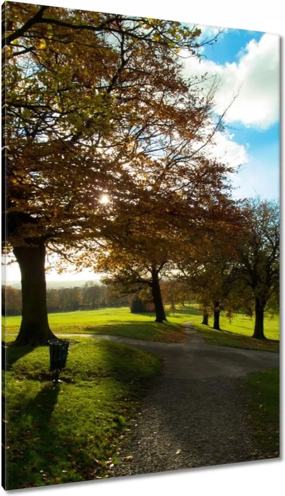 Vászonkép 80x120 Őszi tájkép