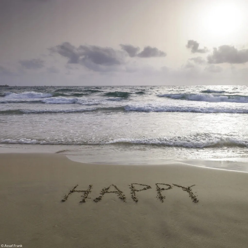 Poszter 20x20cm Happy szó a tengerparton, Assaf Frank