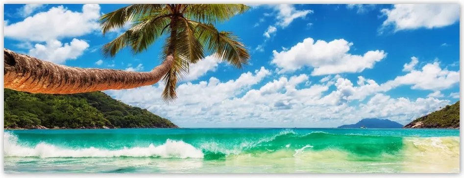 Fotótapéta flizelina 250x93 Paradicsom tengerpart pálmafákkal