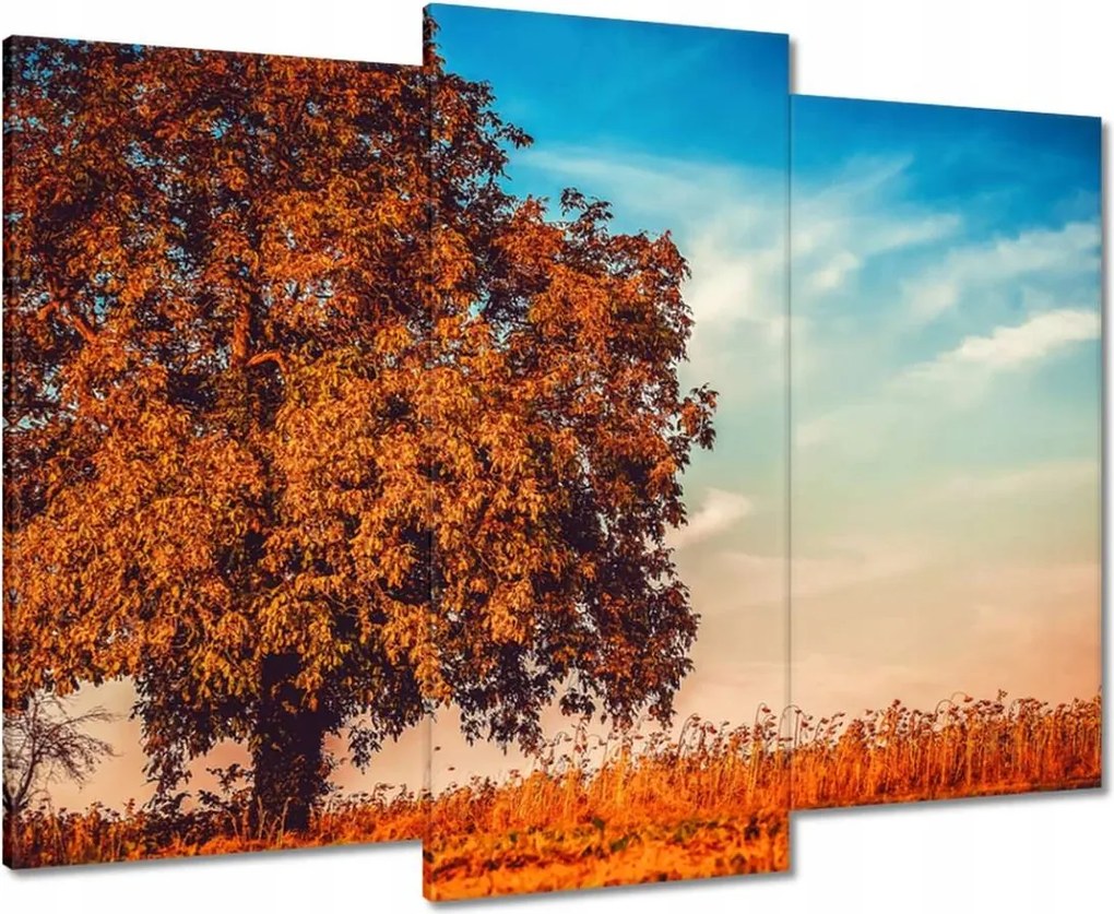 Vászonkép 90x70 Jessiene színek Tájkép