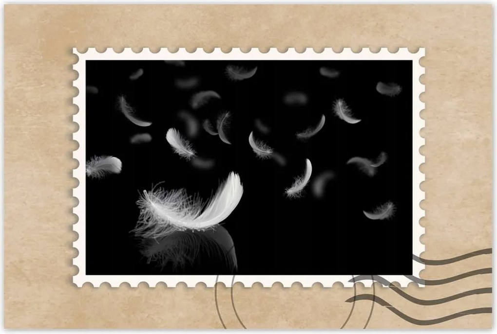 Poszterek 120x80 Hulló fehér tollak