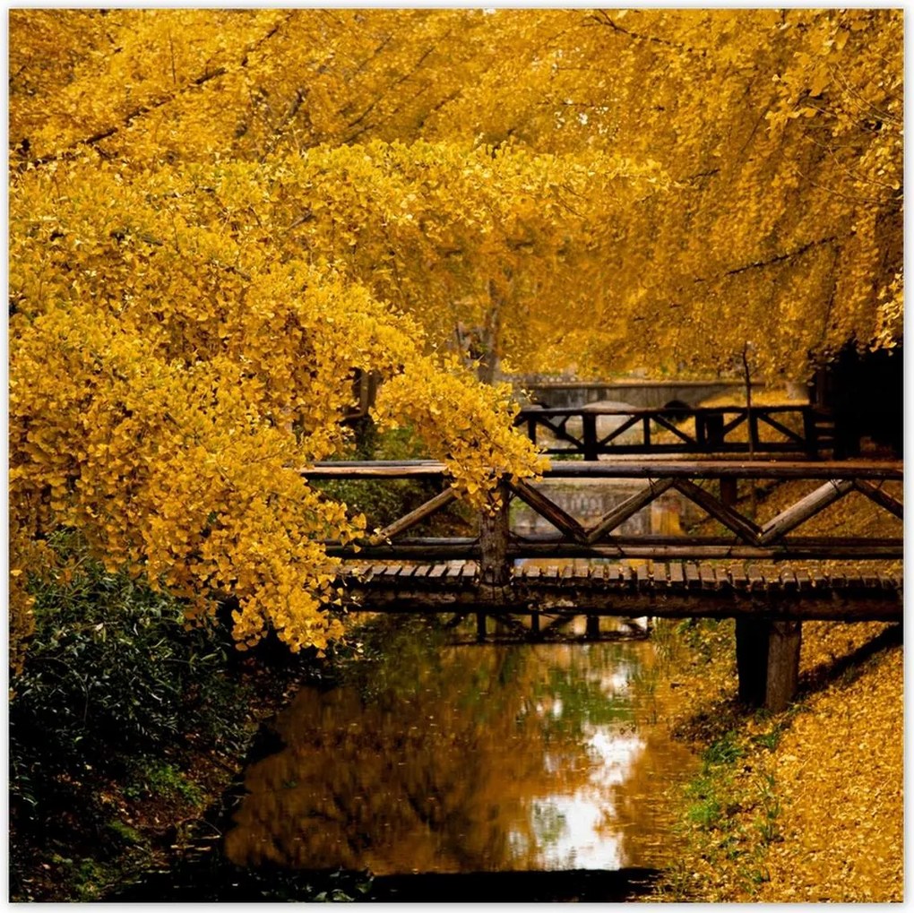 Poszterek 30x30 Tájkép Látvány