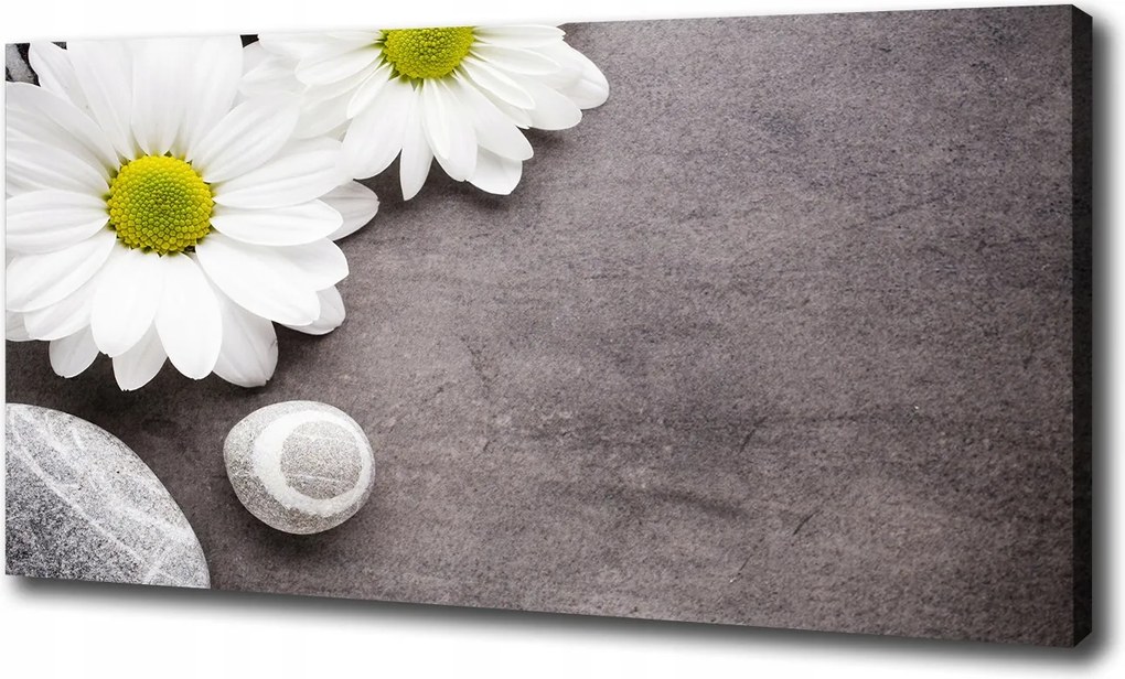 Canvas falikép Gerbera 120x60 cm