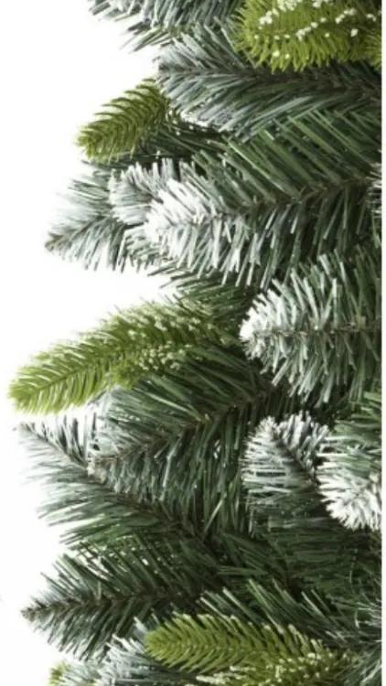 Karácsonyfa - Erdeifenyő 180cm Exclusive