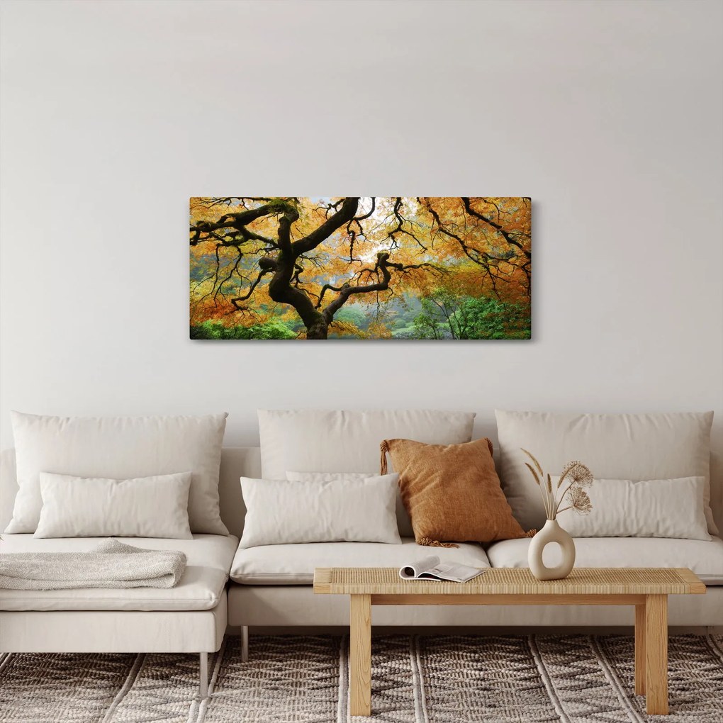 Egy sárga japán juhar képe, Portland, Oregon (120x50 cm)