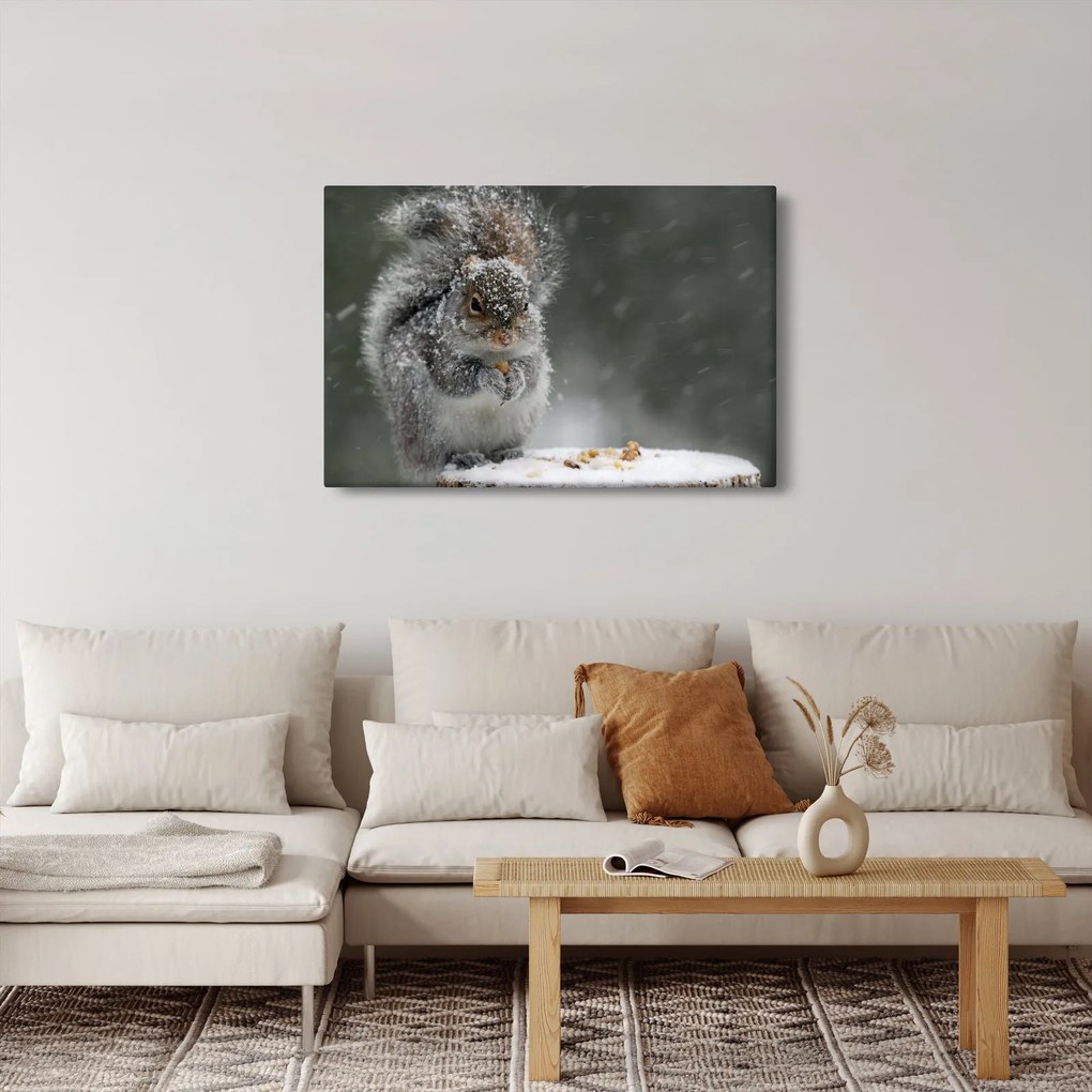Kép - Mókus télen (90x60 cm)
