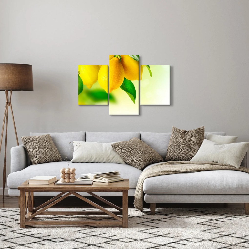 A citrom képe (90x60 cm)