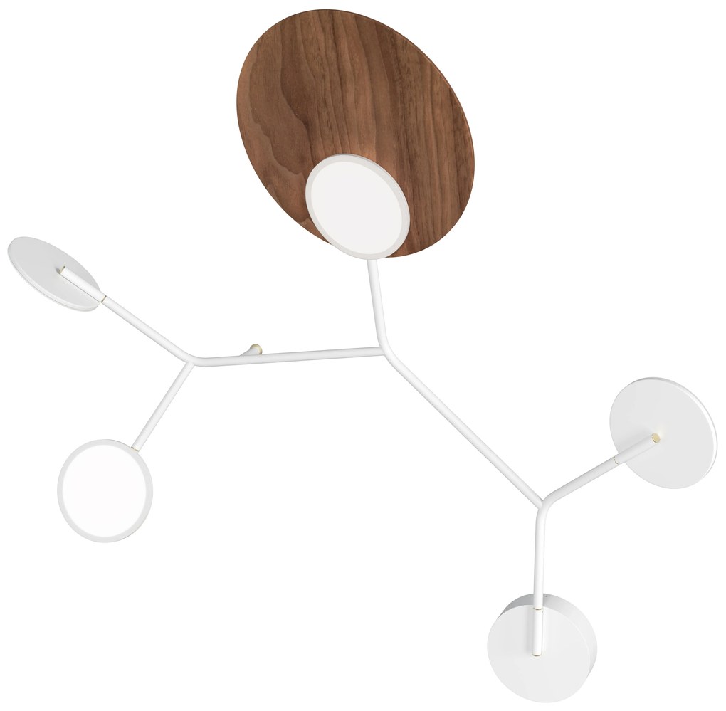 Ballon 5 C fali lámpa, többféle változat - TUNTO Modell: arany keret / 24k arany, rögzítő rész fekete, dió rétegelt lemez panel