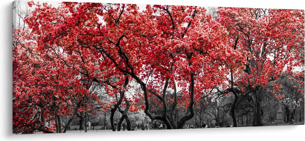 Kép - vörös fák, Central Park, New York (120x50 cm)