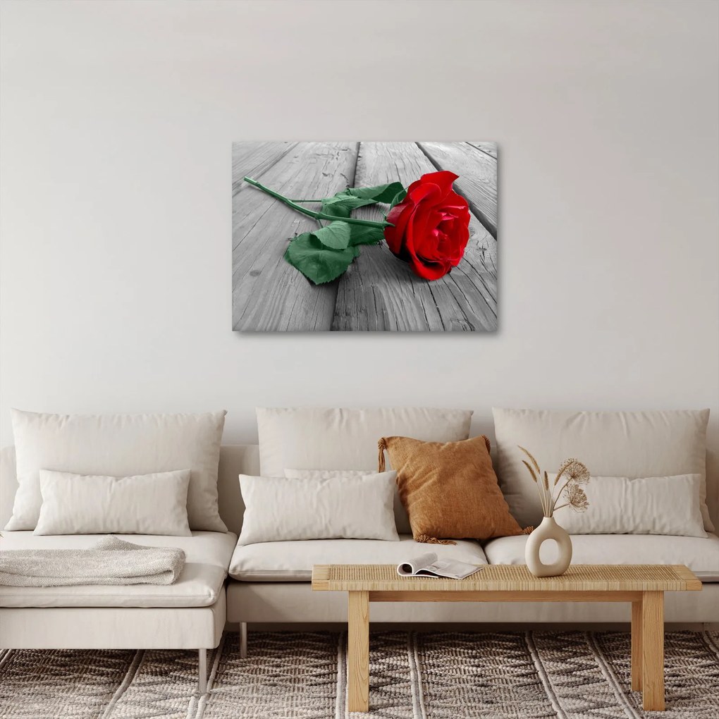 Kép - Piros rózsa zöld szárral (70x50 cm)