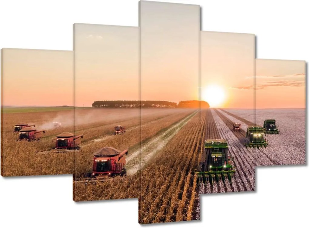 Képek 150x105 Aratás Mezőgazdaság Kombájn