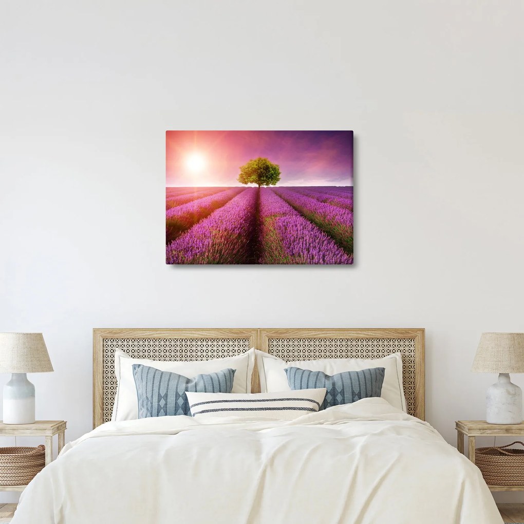 Levendula mező képe (70x50 cm)
