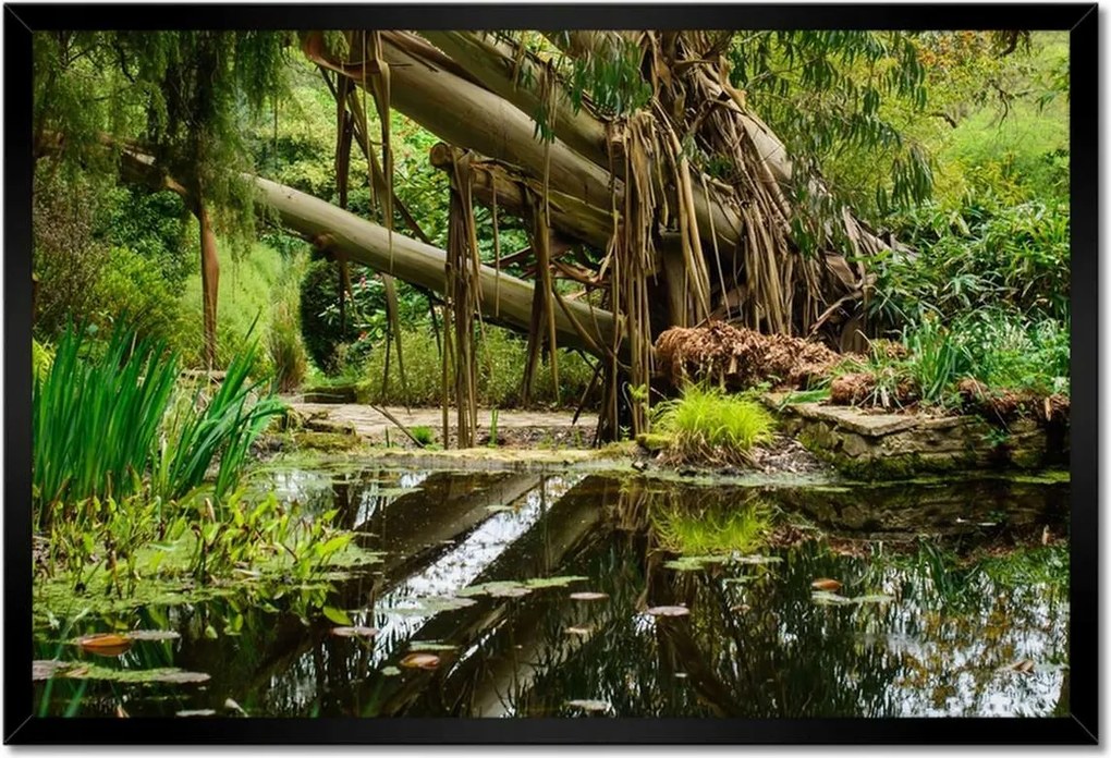 Poszterek keretben 60x40 Tájkép Látvány