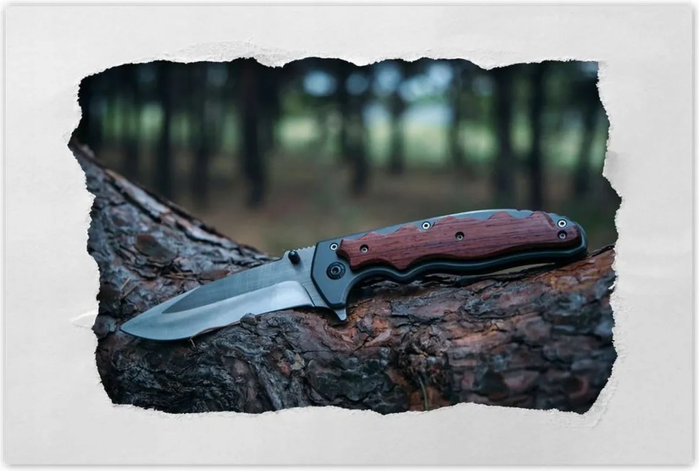 Poszterek 90x60 Fekvő kés fatörzsön