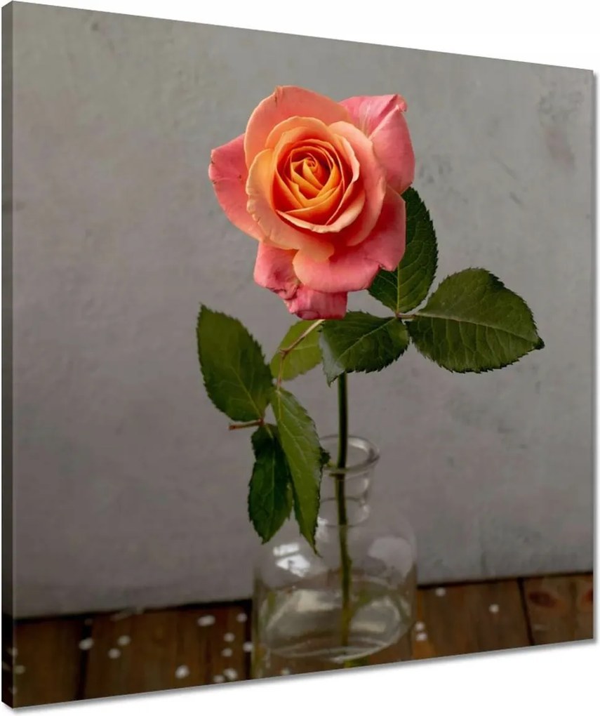 Vászonkép 50x50 Rózsa Virág Virágok Rózsa