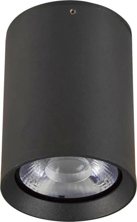ITALUX OPN-2003-4K CERVIA Hengeres Mennyezeti Lámpa LED IP54