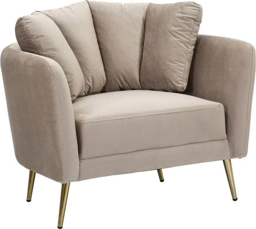 Szürkésbarna bársony fotel Kiev – Mauro Ferretti