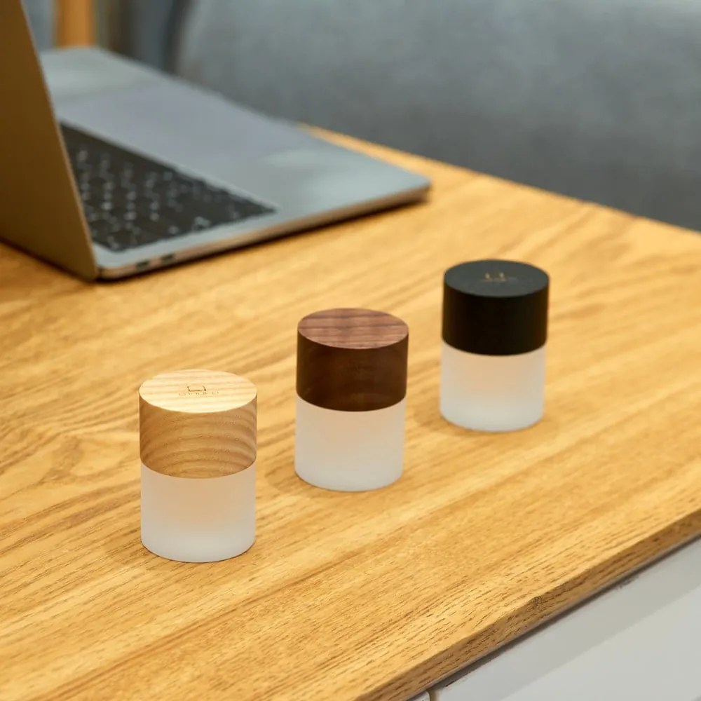 Fekete USB fénydekoráció ø 4,5 cm Lemelia – Gingko