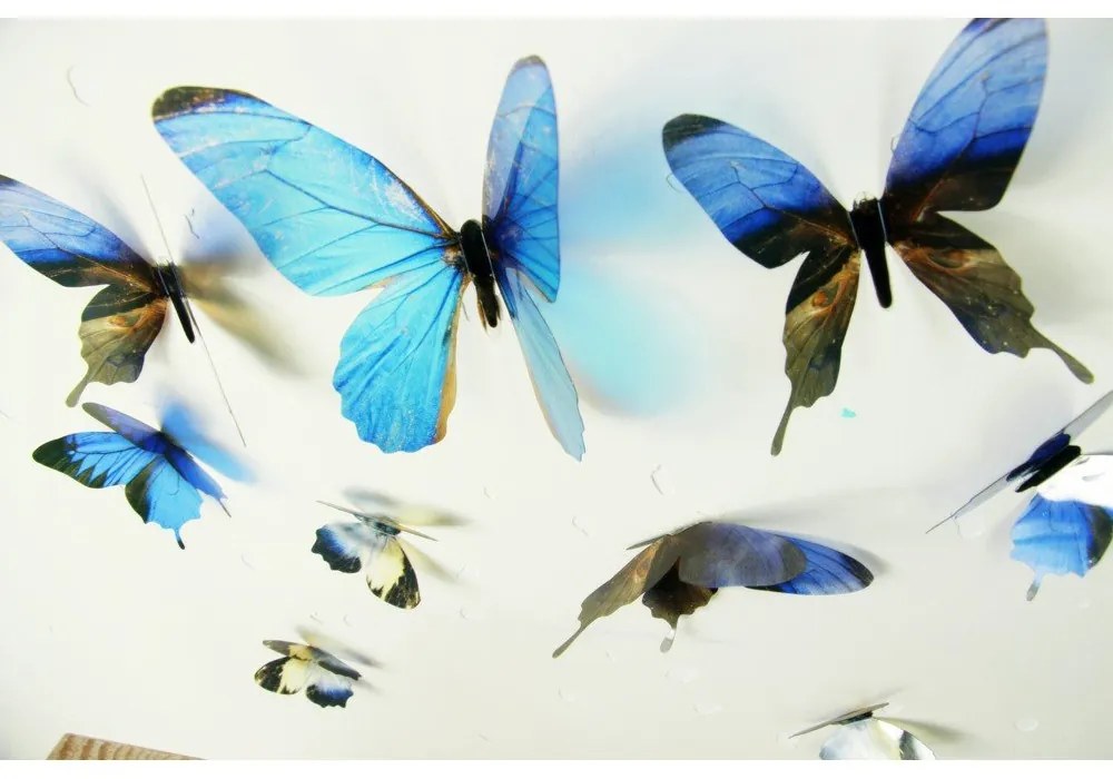 Butterflies 18 db-os kék 3D hatású falmatrica szett - Ambiance