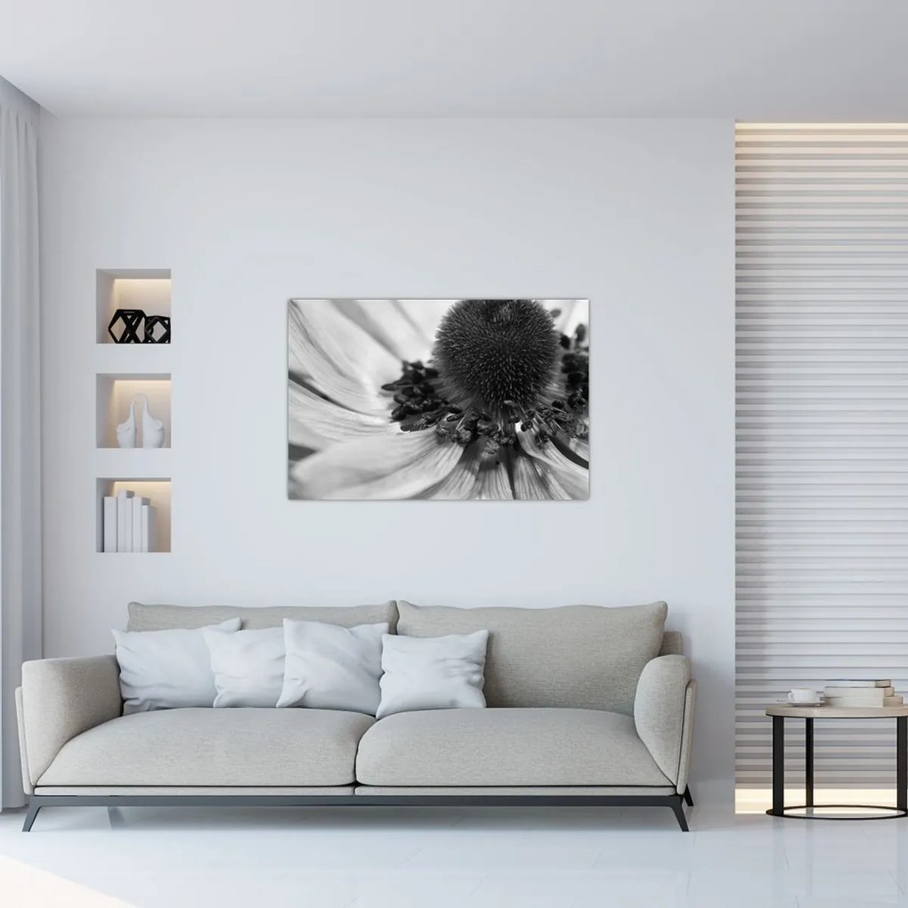 Kép - Virág fekete-fehérben (90x60 cm)