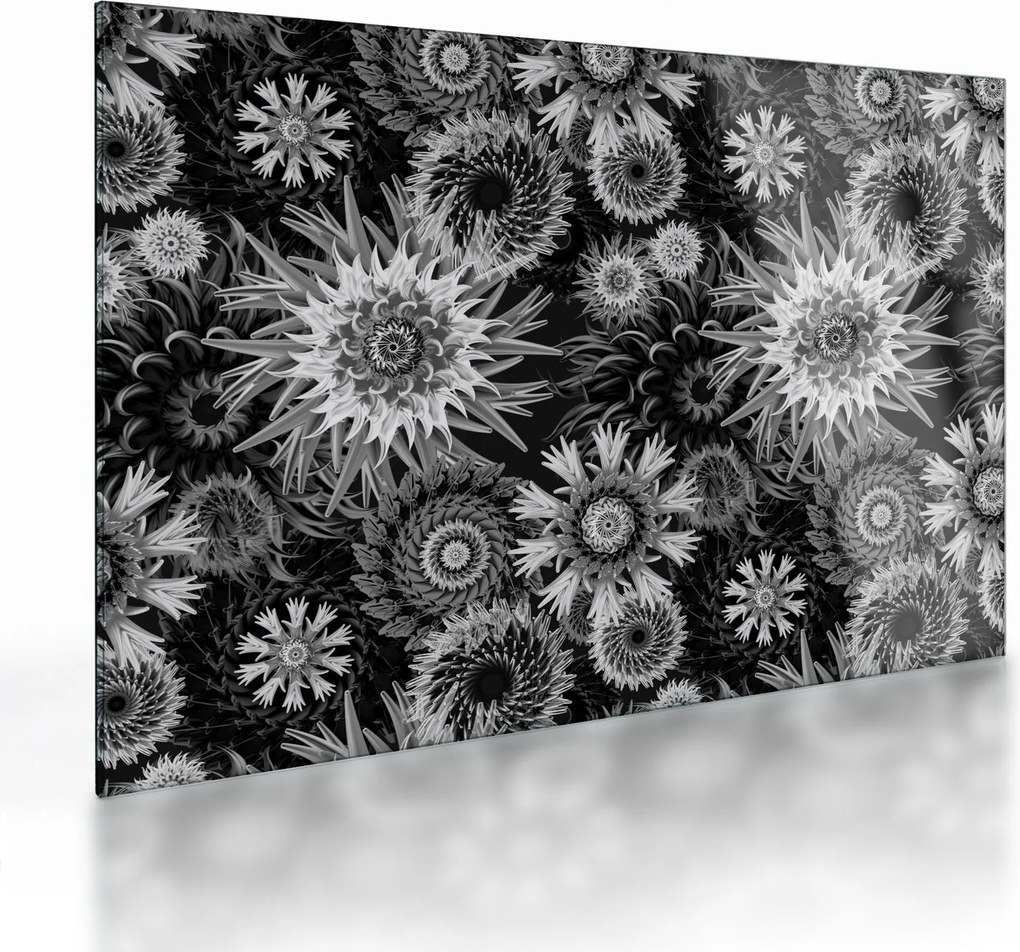 Üveg kép - Fekete és fehér gyűszűvirág (70x50 cm)