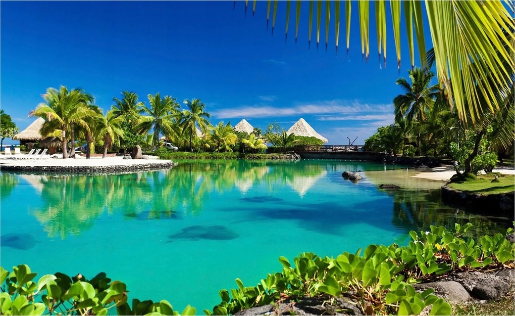 Fotótapéta Kék lagúna Tengerpart és pálmafák Paradicsomi sarok 208x146 +ragasztó