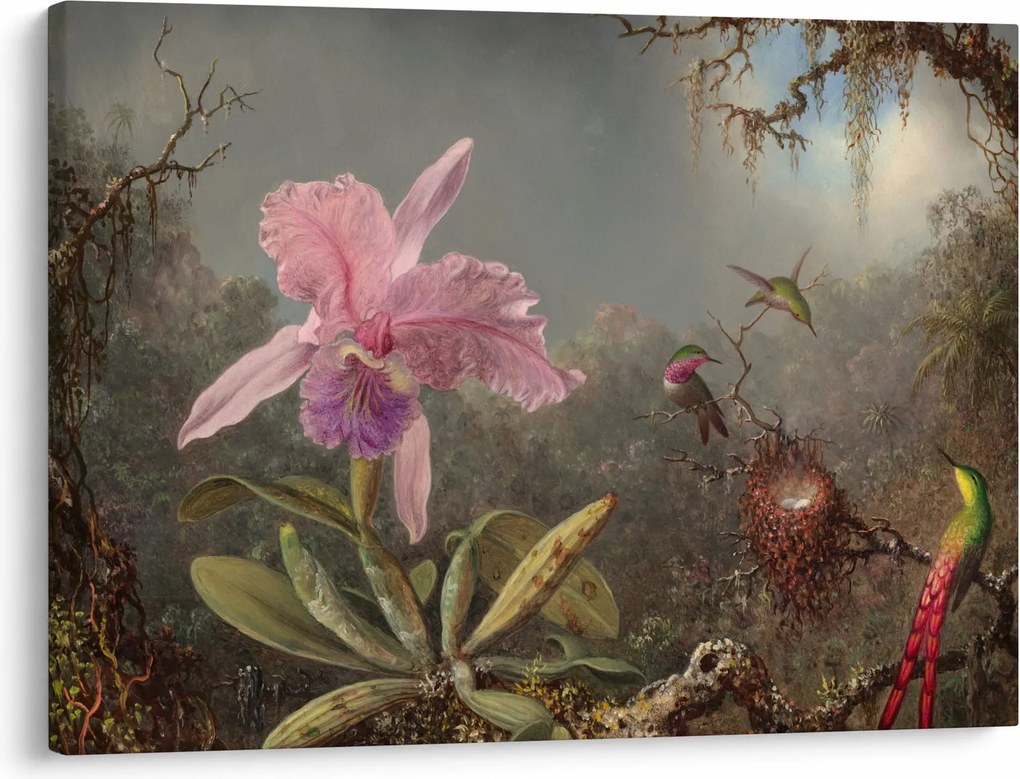 Kép - Martin Johnson Heade, Cattleya Orchid and Three Hummingbirds, reprodukciók (70x50 cm)