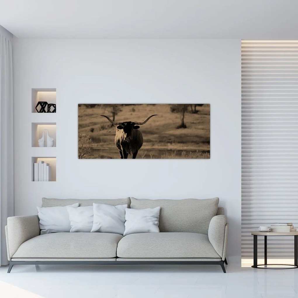 Kép - Texasi tehén (120x50 cm)