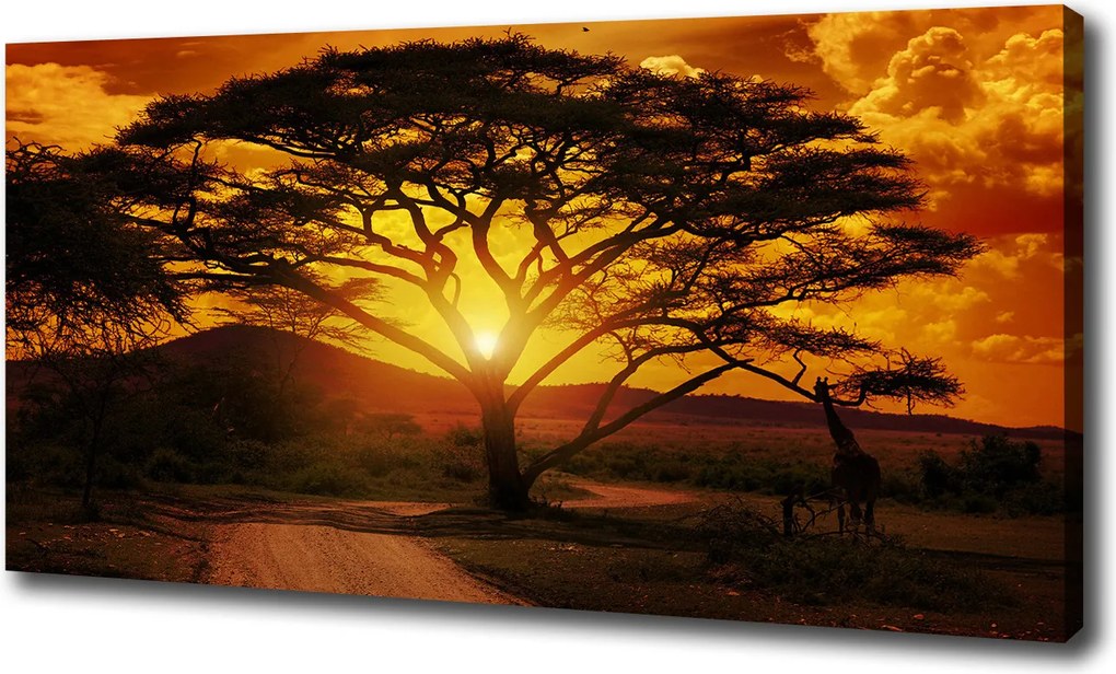 Vászonkép Nyugat Afrika 100x70 cm