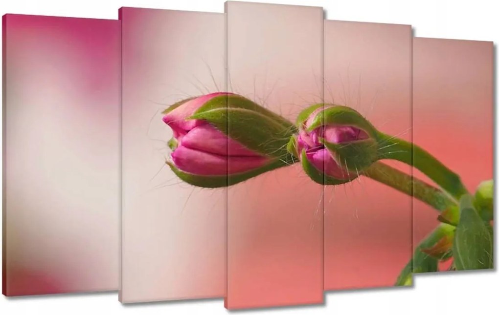 Vászonkép 100x60 Finom fánkok Virágok