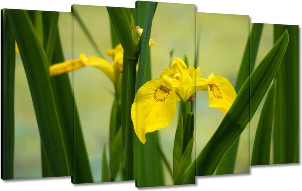 Vászonkép 100x60 Virágok