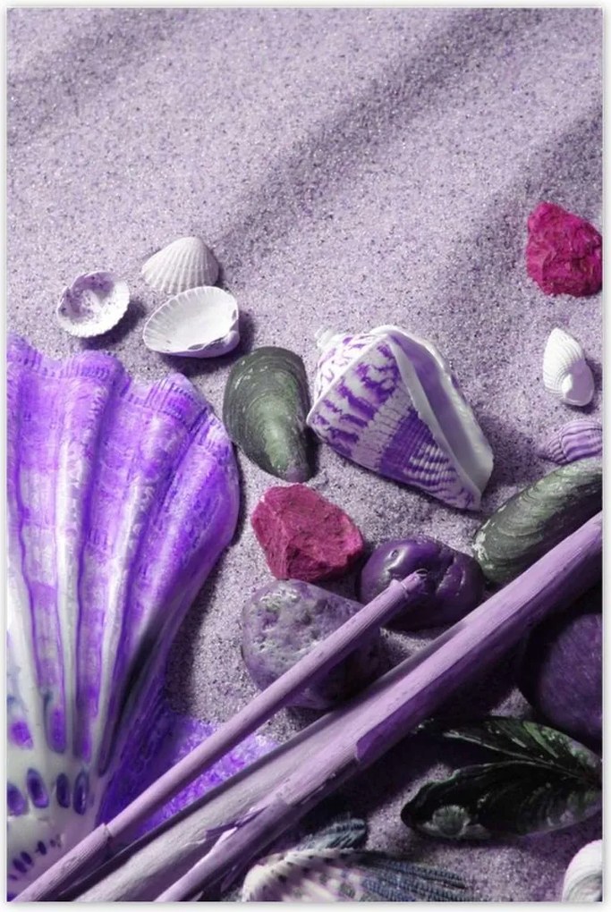 Poszterek 60x90 Lila kagyló