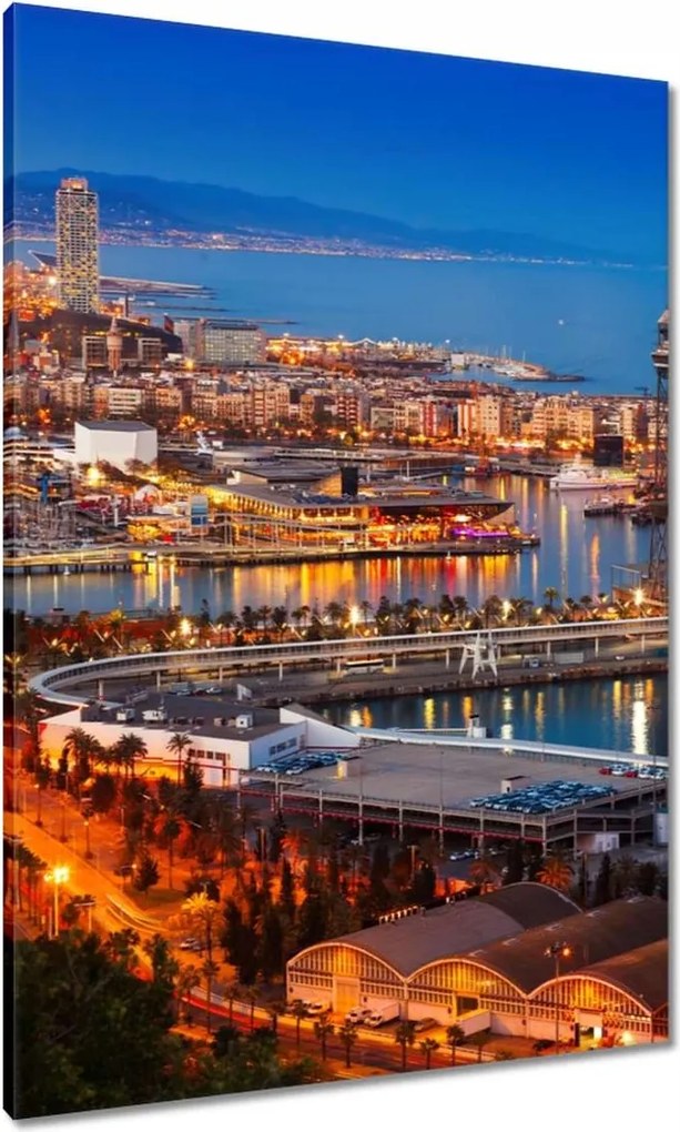 Vászonkép 70x100 Barcelona Éjszakai tájkép
