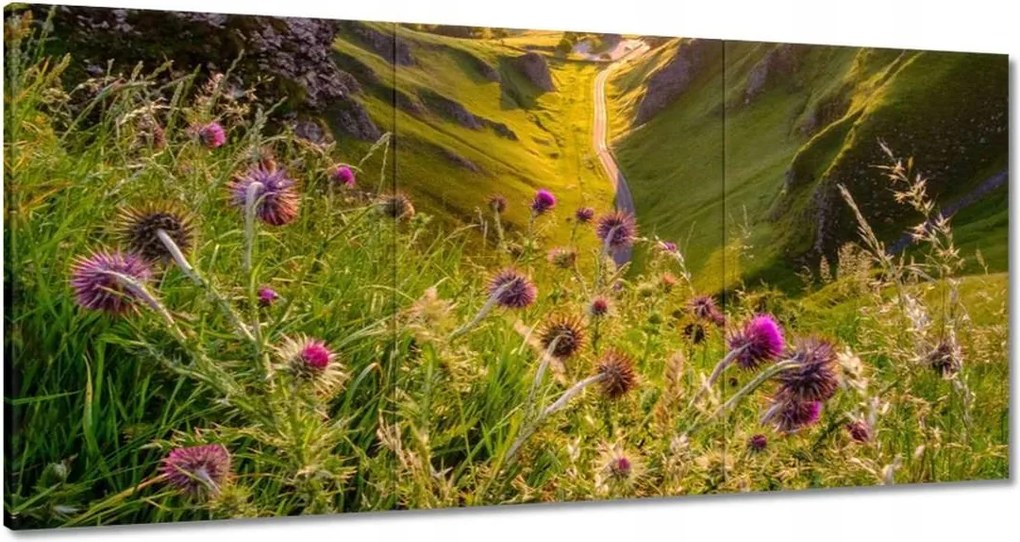 Vászonkép 60x30 Gyönyörű tájkép Kilátás