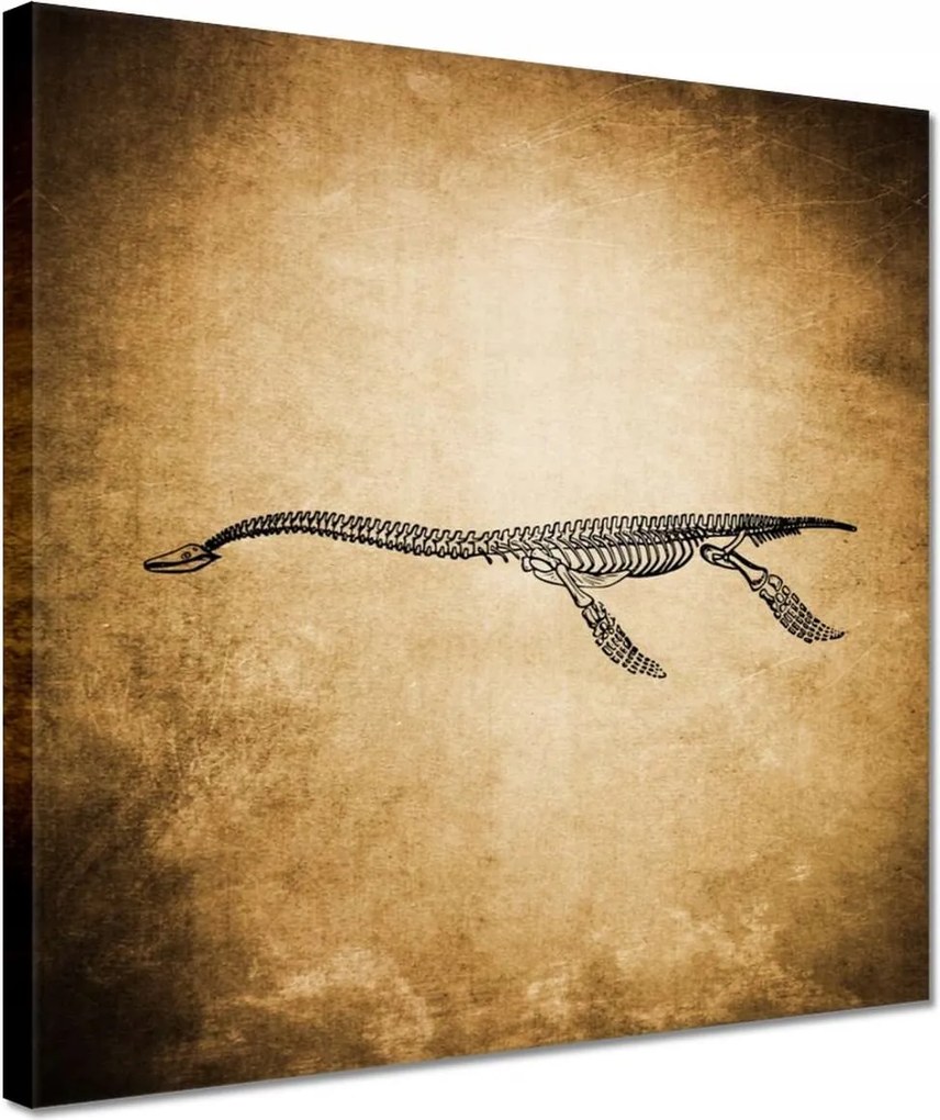 Vászonkép 30x30 Dinoszaurusz őstörténet Dino