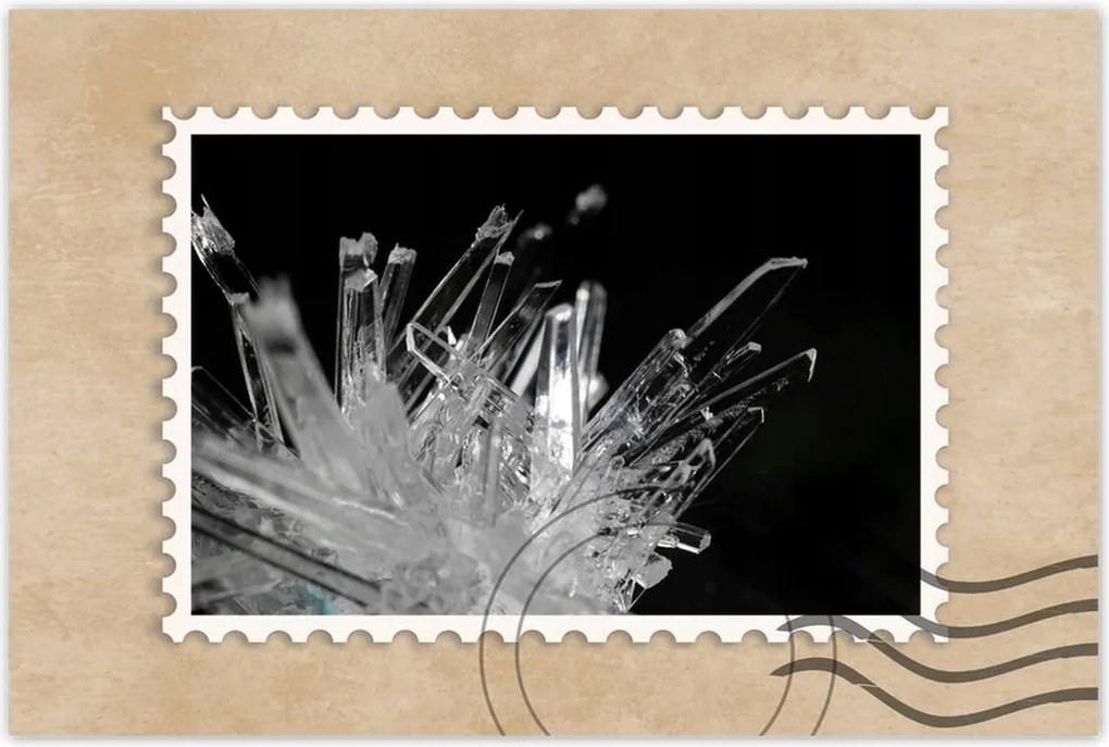 Poszterek 90x60 Makrofotó MacroFoto