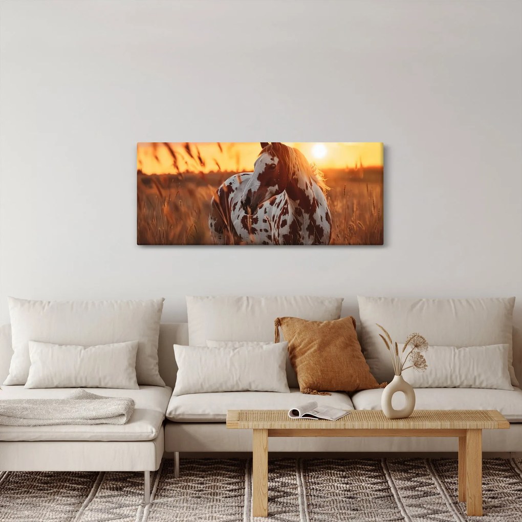 Kép - Ló naplementében (120x50 cm)