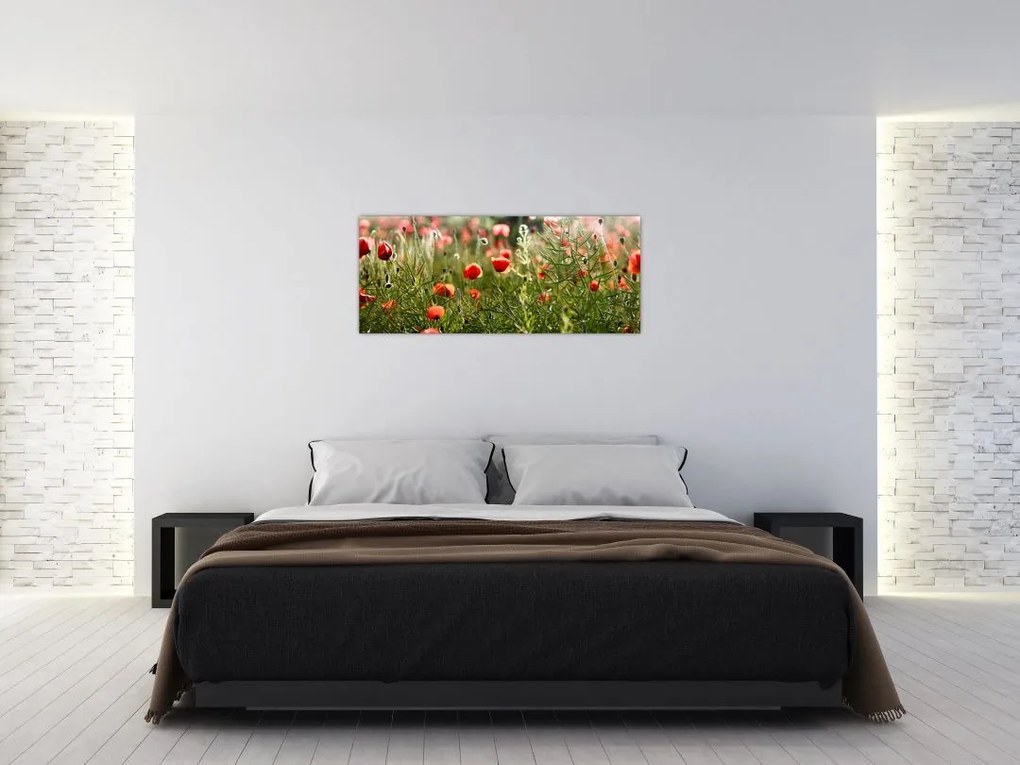 Pipacsok képe (120x50 cm)