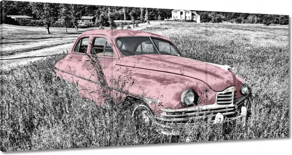 Vászonkép 180x90 Rózsaszín nagymama Antik