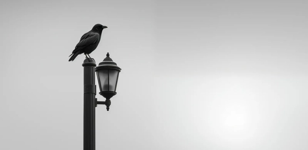 Poszter 91,3x44,5cm Magányos Holló Állvány