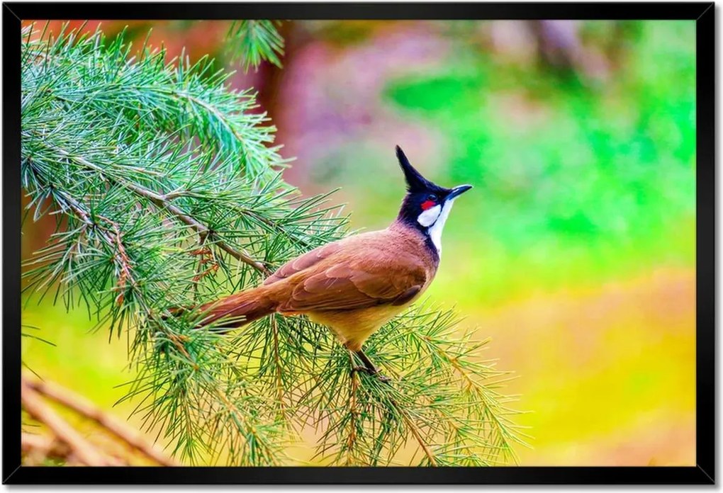 Poszterek keretben 60x40 Madár az ágon Természet