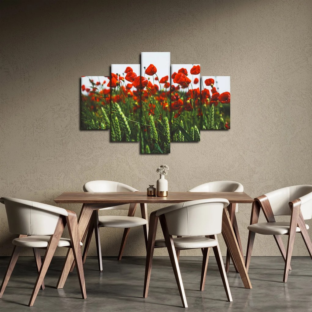 A pipacsok képe a szélben (150x105 cm)