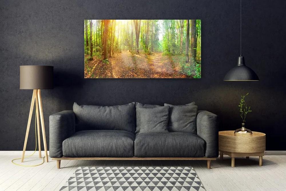 Akrilkép Sun-erdő Természetvédelmi Path 120x60 cm