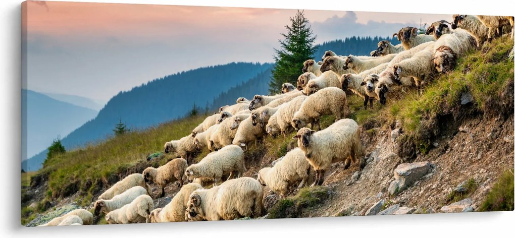 Kép - Egy nyáj birka (120x50 cm)