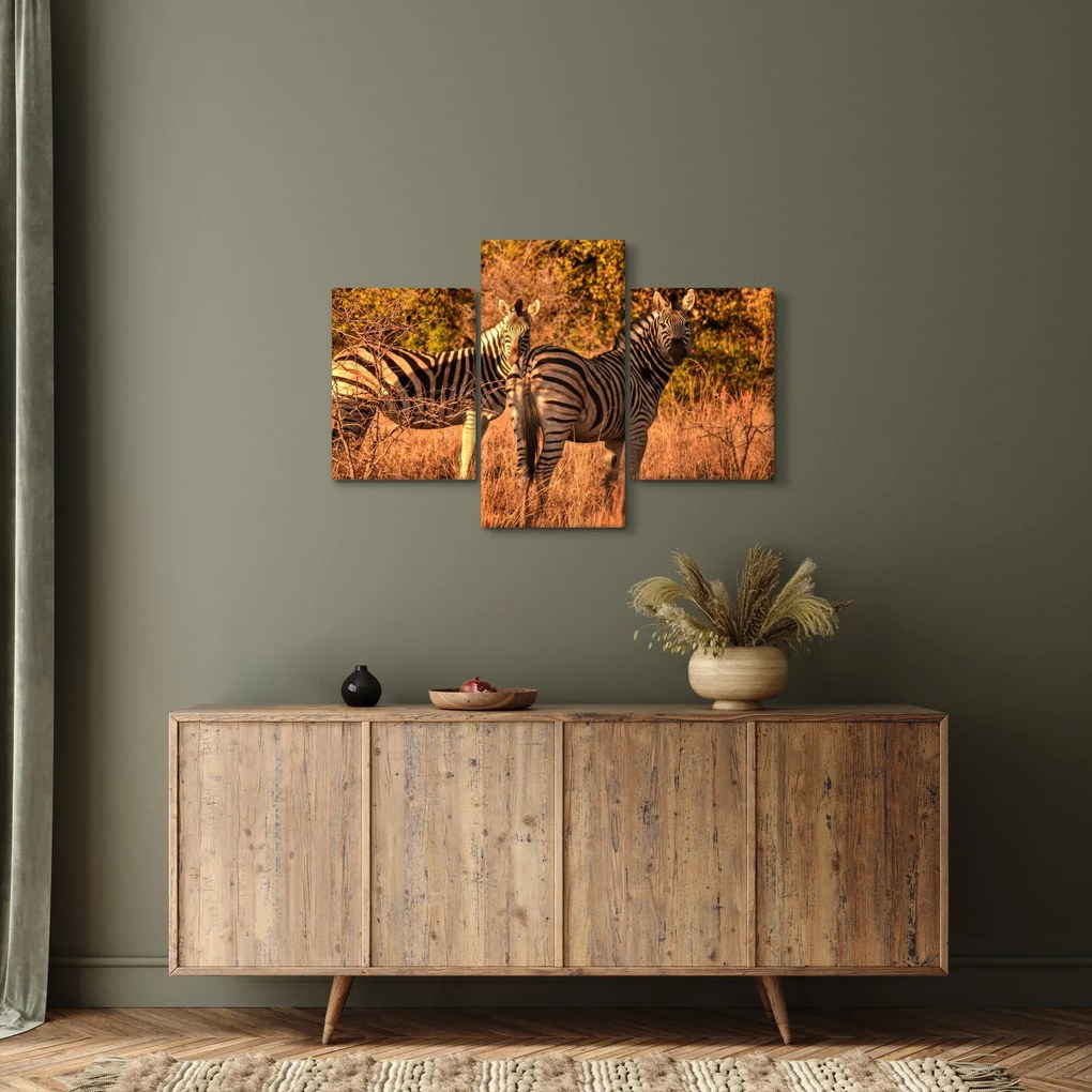 Zebrák képe (90x60 cm)