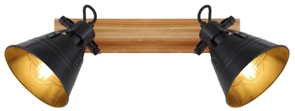 Globo 15466S-2 - Spotlámpa GÜNTHER 2xE27/60W/230V